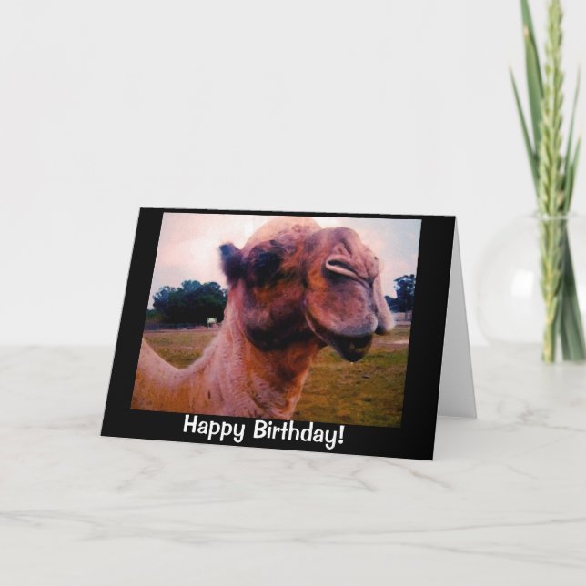 Drooling Camel Birthday Greeting Card (Front)