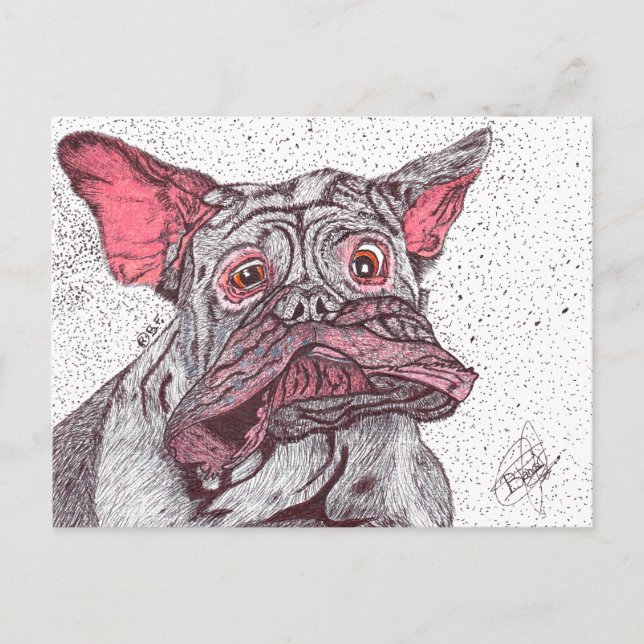 DROOLING. DOGUE DE BORDEAUX  POSTCARD (Front)