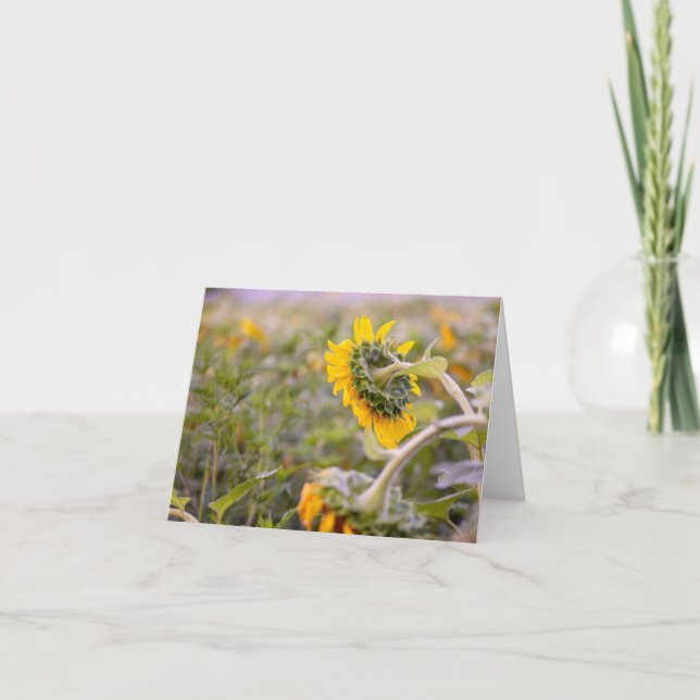 Drooping Sunflower Folded Thank You Card (Front)