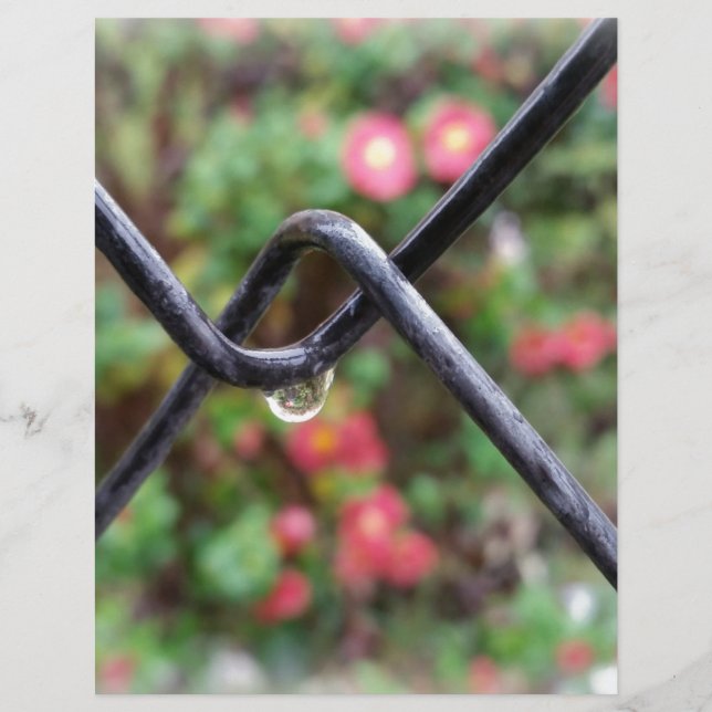 Drop of rain (Front)