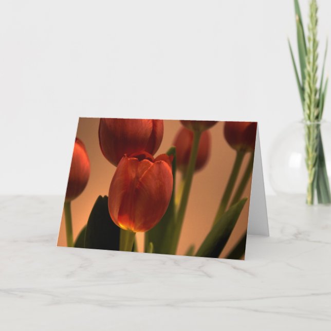 Drop of Sun Thank You Card (Front)