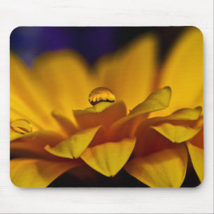 Drop of Water with Reflection of Gerbera Daisy Mouse Pad