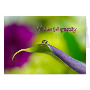 Droplet D'Eau Sympathique Sur La Feuille