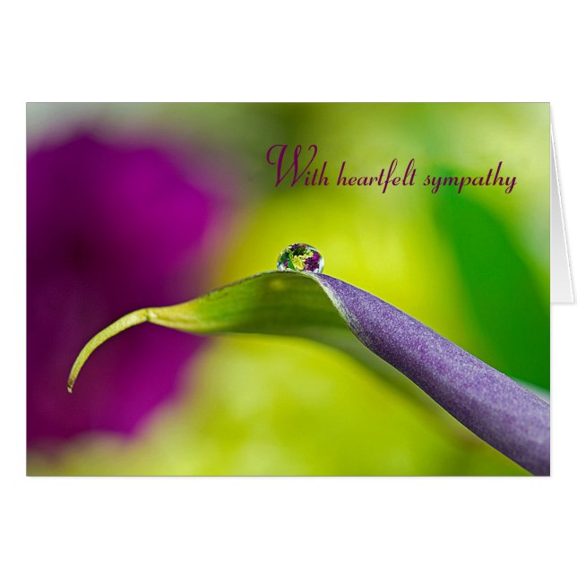 Droplet D'Eau Sympathique Sur La Feuille (Devant horizontal)