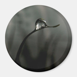 droplet magnet