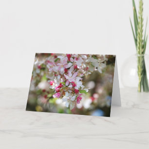 droplet of beauty blank card