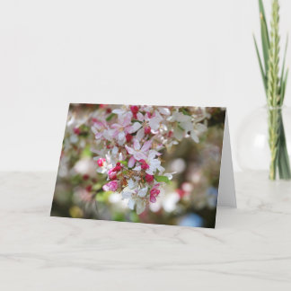 droplet of beauty blank card