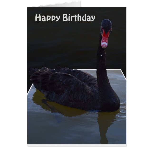 Droplets De Cygne Noir En Étang, Carte Anniversair (Devant)