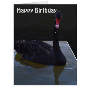 Droplets De Cygne Noir En Étang, Carte Jumbo Anniv