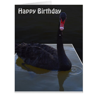 Droplets De Cygne Noir En Étang, Carte Jumbo Anniv