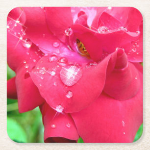 Droplets on Petals Coaster