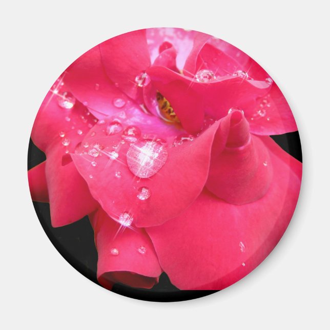 Droplets on petals Magnet (Front)