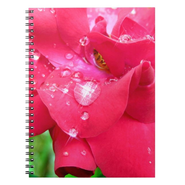 Droplets on Petals Photo Notebook (Front)