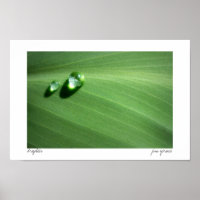droplets
