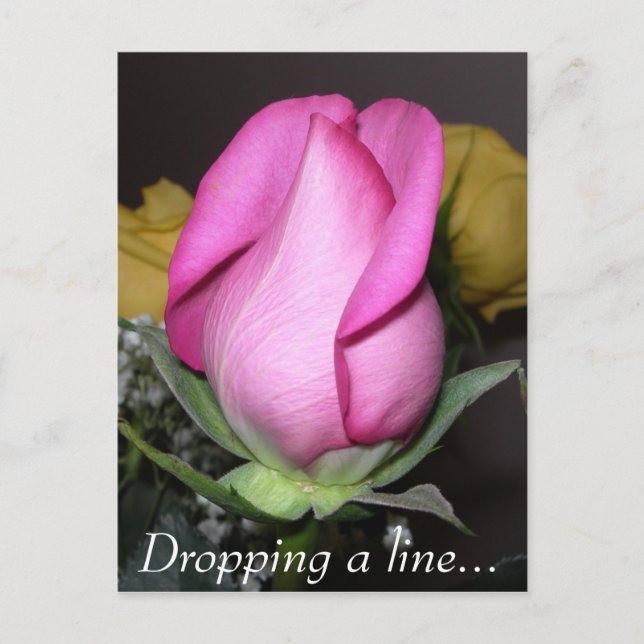 Dropping a line... postcard (Front)
