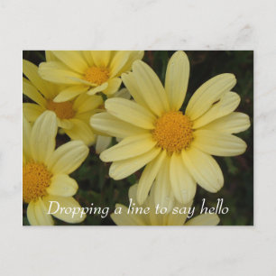Dropping a line to say hello postcard