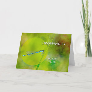 Dropping by to Say Hello, Damselfly on Grass Card