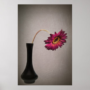 Dropping Gerbera Daisy In Vase Poster