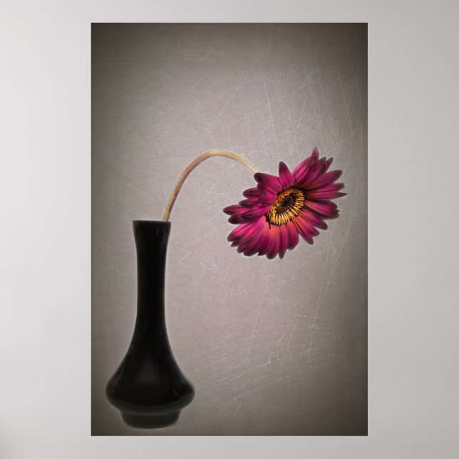 Dropping Gerbera Daisy In Vase Poster (Front)