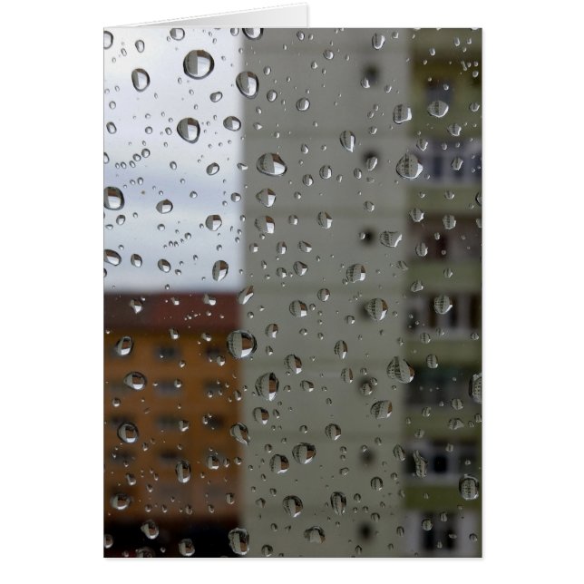 Drops of rain (Front)