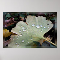 Drops of rain