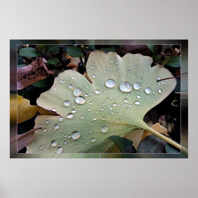 Drops of rain poster (Front)