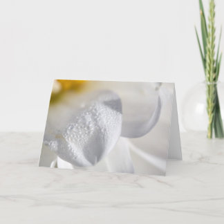 Drops on dahlia petals card