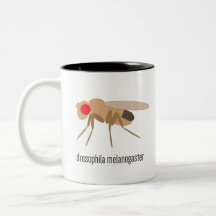 Drosophila Coffee Mug