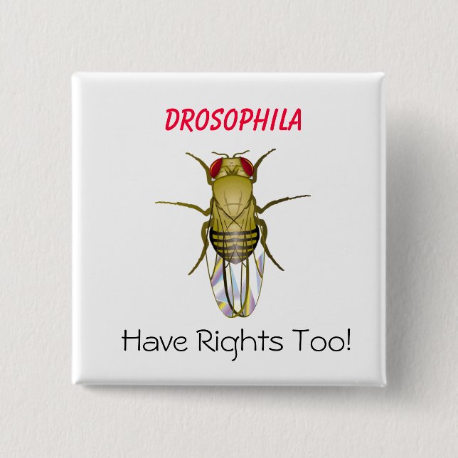 DROSOPHILA, Drosophila , Have Righ... - Customized 2 Inch Square Button (Front)