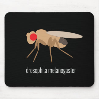 Drosophila Mousepad