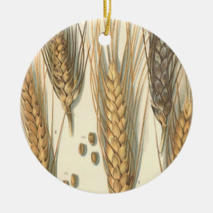 Drought Resistant Wheat Plant, Vintage Agriculture Ceramic Ornament