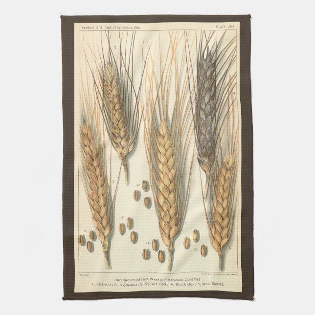Drought Resistant Wheat Plant, Vintage Agriculture Kitchen Towel (Vertical)