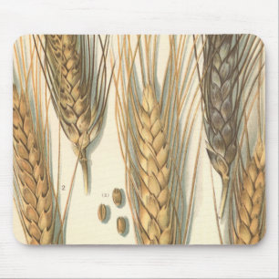 Drought Resistant Wheat Plant, Vintage Agriculture Mouse Pad
