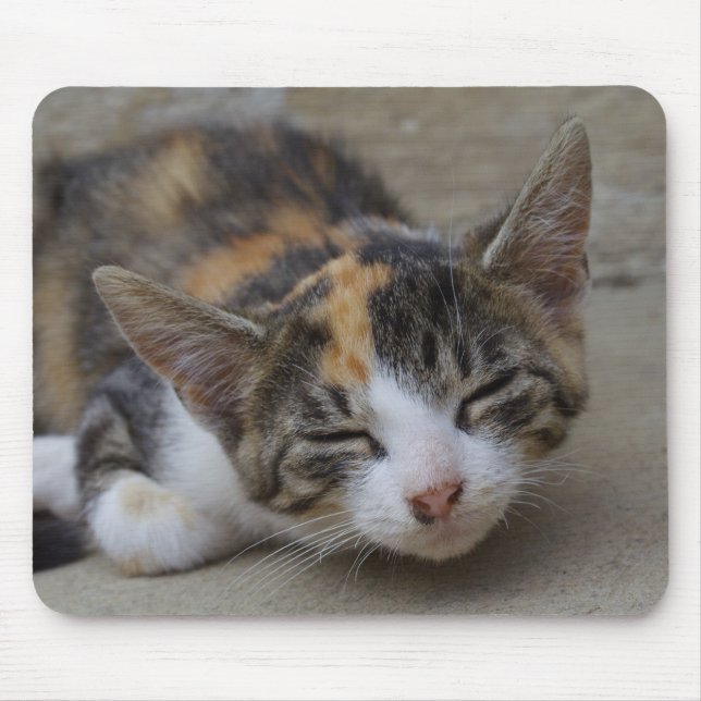 Drowsing Calico Kitten Mouse Pad (Front)