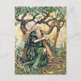 Druid Celtic Wise Priest of Nature Postcard