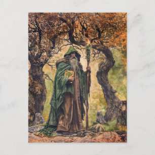 Druid Celtic Wise Priest of Nature Postcard