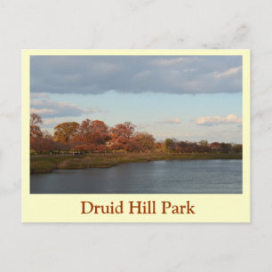 Druid Hill Park Postcard