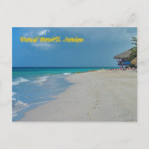 Druif Beach Aruba Postcard