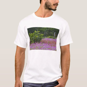 Drummond Phlox, Phlox drummondi, Hilton Head T-Shirt
