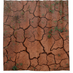 dry, cracked ground