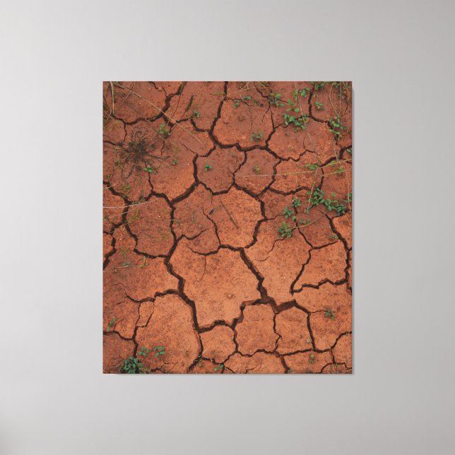 dry, cracked ground canvas print (Front)