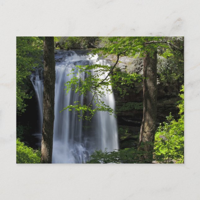 Dry Falls Postcard (Front)