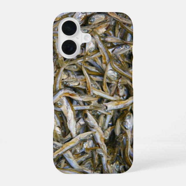 dry fish 3 iPhone 16 case (Back)