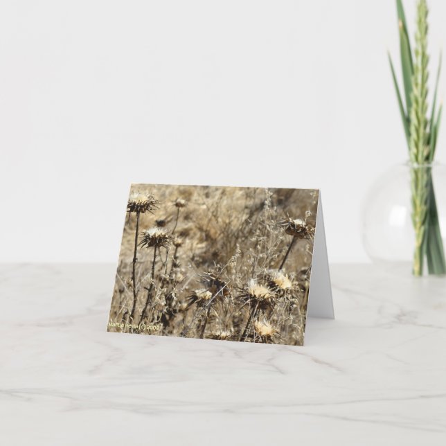 Dry Grass Card (Front)