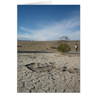 Dry Grounds