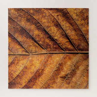 Dry leaf: natural texture background. jigsaw puzzle