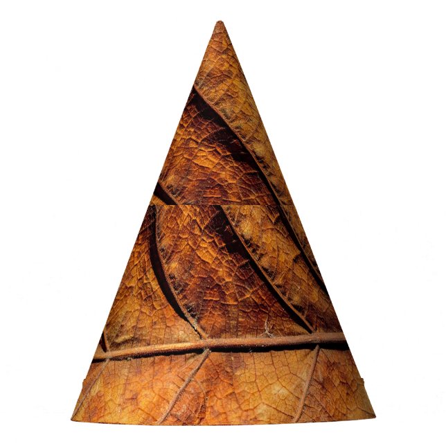 Dry leaf: natural texture background. party hat (Front)