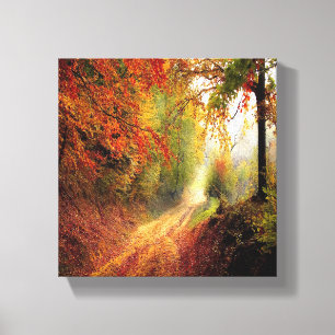 Dry leaves forest photo canvas print