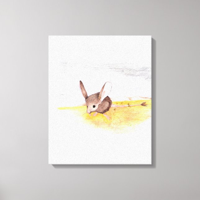Dry Mouse Canvas Print (Front)