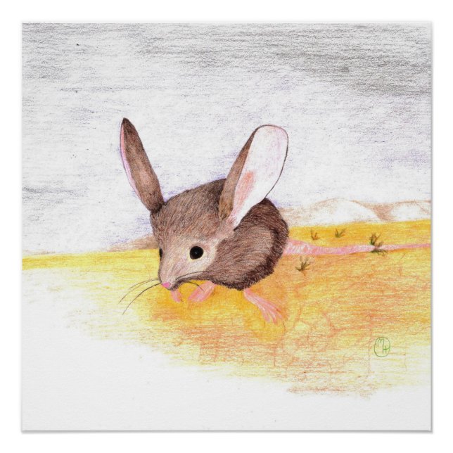 Dry Mouse Poster (Front)